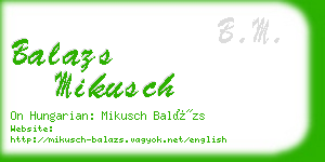 balazs mikusch business card
